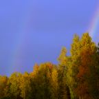 Шестиместный (Дом с 2 спальнями), База отдыха Озерный Берег