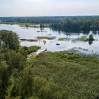 Четырехместный (Дом с 1 спальней), База отдыха Озерный Берег