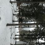 Четырехместный (Классический четырехместный номер), Мини-гостиница TourBase TRAM House