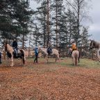 Верховая езда, Загородный отель Барская Усадьба