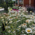 Сад, Гостевой дом Усадьба Веранда