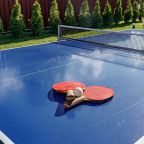 Настольный теннис, Гостевой дом Усадьба Веранда