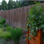 Сад, Гостевой дом Усадьба Веранда