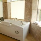 Двухместный (Двухместный номер Делюкс с 1 кроватью и ванной), Отель Sheremetievo-Transit