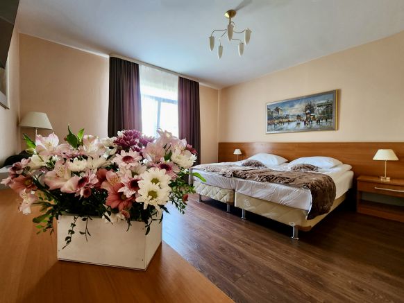 Фотография номера гостиницы Каунис