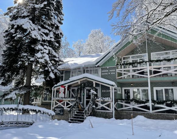 Отель Green Park