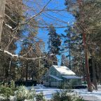 Своя ухоженная территория, Отель Green Park