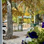 Своя ухоженная территория, Отель Green Park