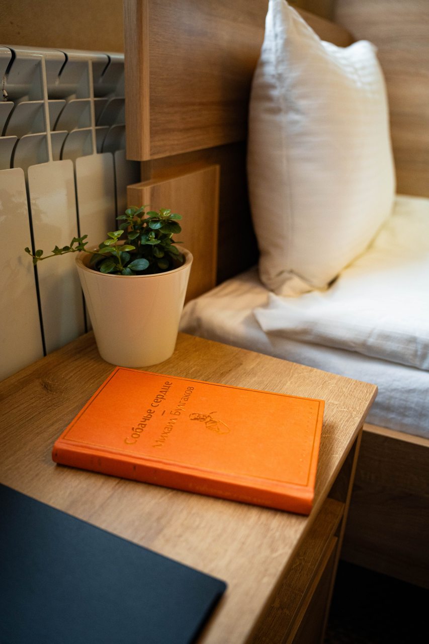 Двухместный (Эконом), Отель Луна