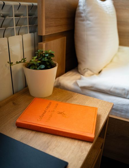 Фотография номера гостиницы Луна