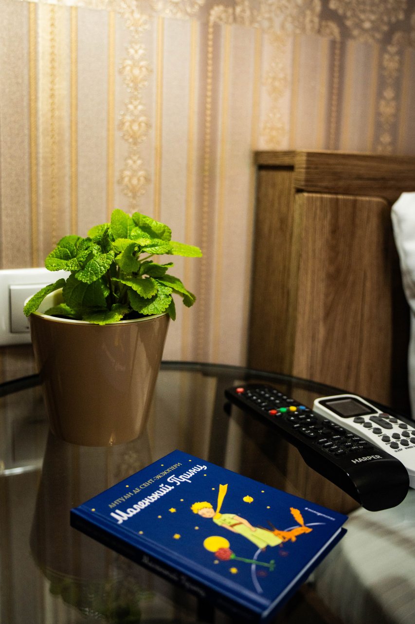 Двухместный (Комфорт), Отель Луна