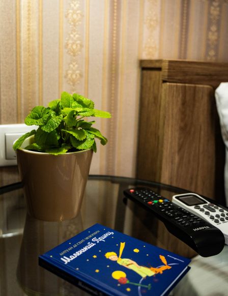 Фотография номера гостиницы Луна