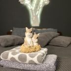 De Luxe (Двухместный с 1 кроватью и душем), Хостел Good Night