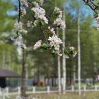 Вид на озеро, Турбаза На Ватоме