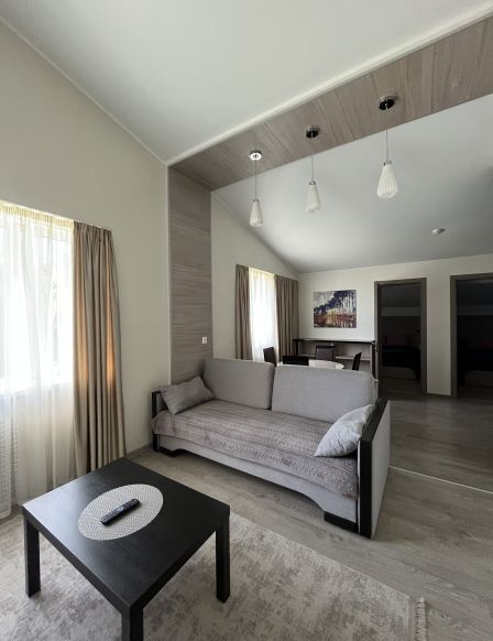 Фотография номера гостиницы Hermitage