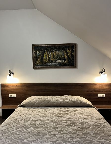 Фотография номера гостиницы Hermitage