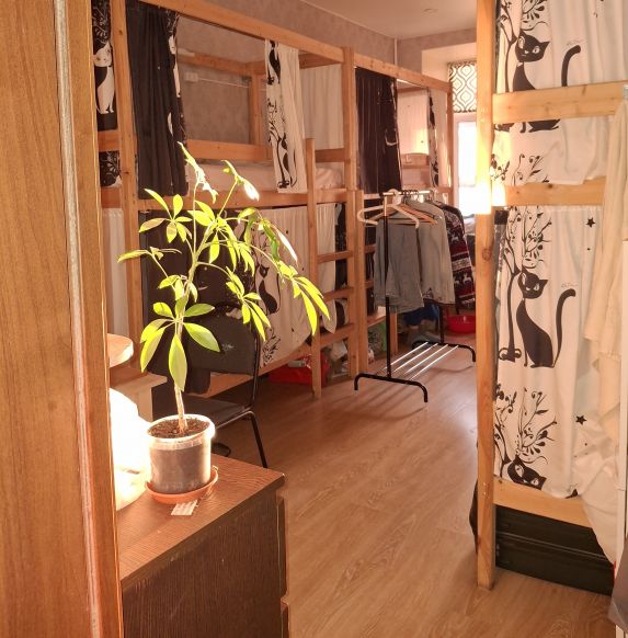 Фотография номера хостела Большой Казачий