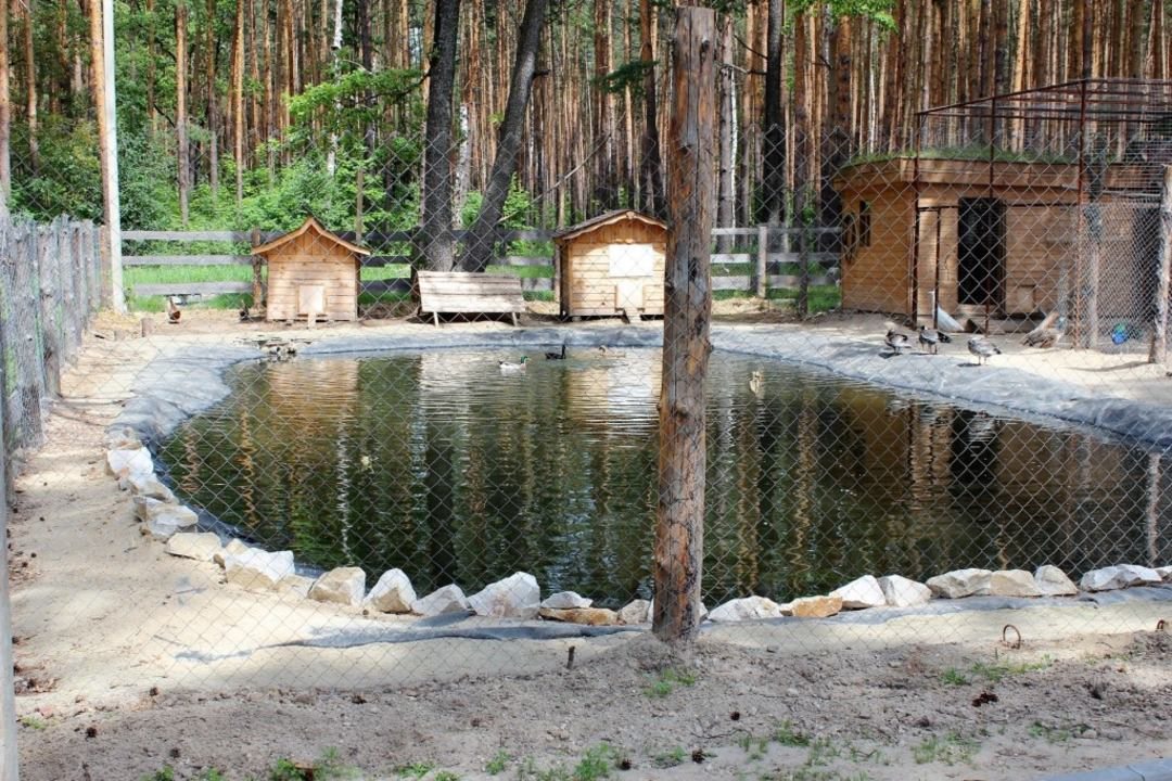 Мини-зоопарк, Парк-Отель Березка