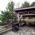 Шале (Охотничий), Гостевой дом Шале Телецкое