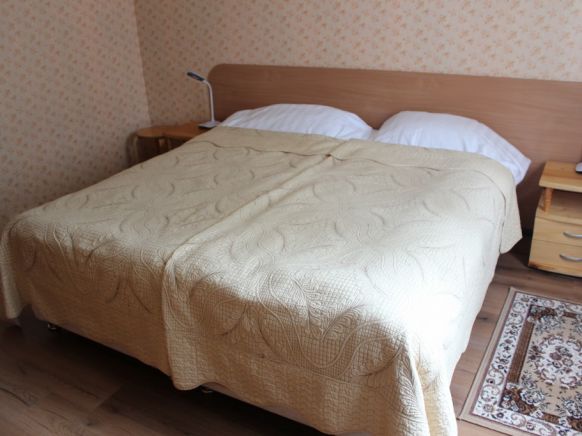 Фотография номера гостиницы Вырубово