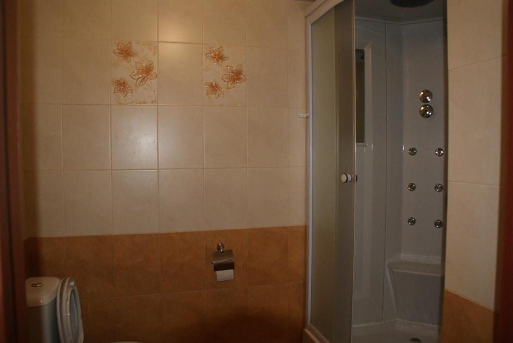 Двухместный (Двухместный номер с 1 кроватью и собственной ванной комнатой) отеля Ниагара, Самара
