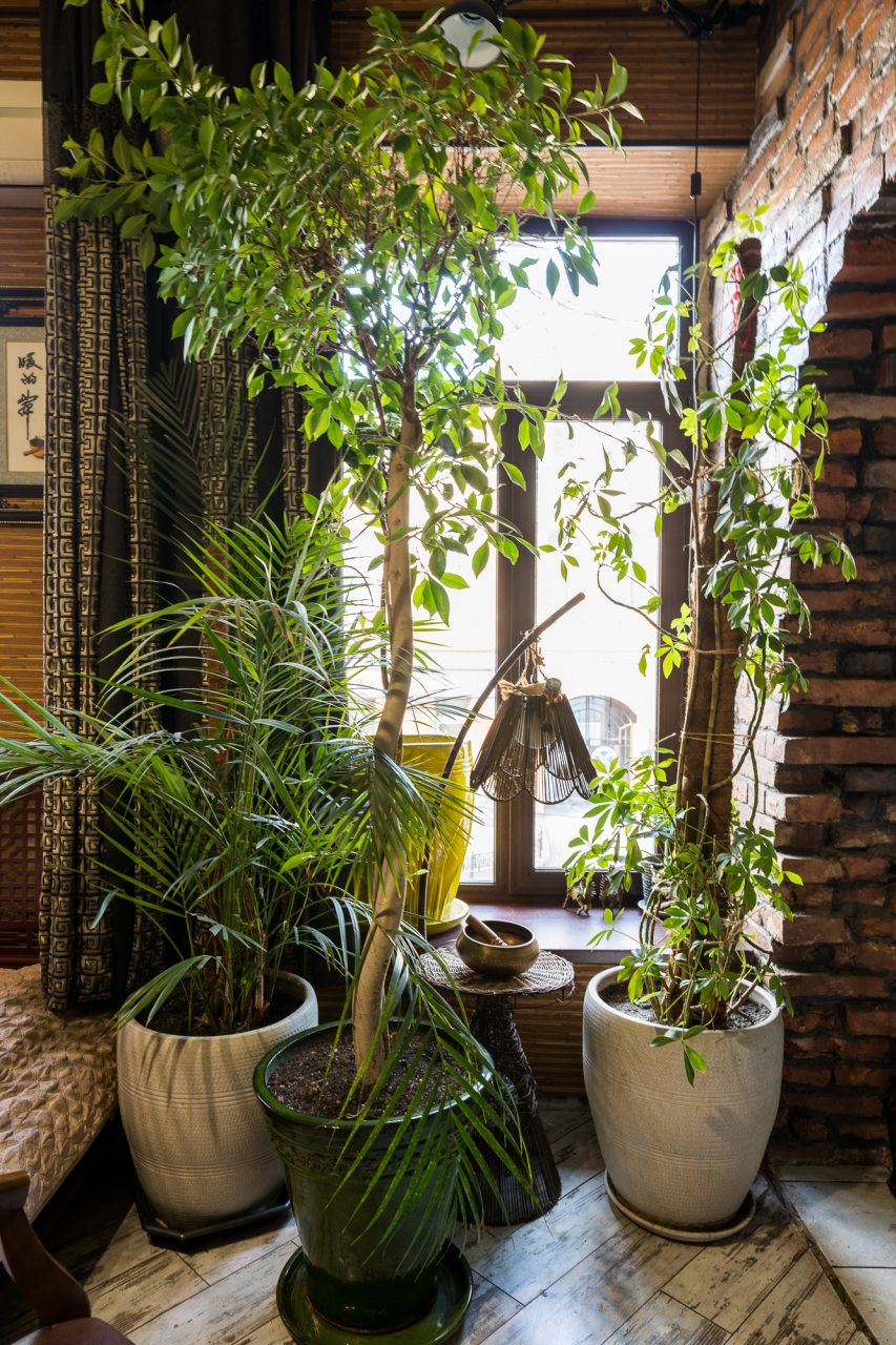 Четырехместный (Номер 6), Мини-отель Пекинский дворик