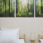 Двухместный (Стандартный номер с 2 отдельными кроватями), Гостевой дом Байкал