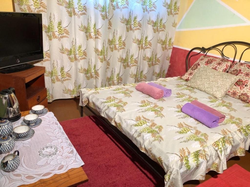 Двухместный (Бюджетный двухместный номер с 1 кроватью) апартамента На Миллера, Биробиджан