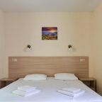 Двухместный (Стандартный номер с 1 двуспальной кроватью), Парк-Отель Цитадель