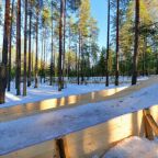 Ватрушечный склон, Вилла Шишки на Лампушке