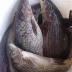 Рыбалка, База отдыха Сегозеро