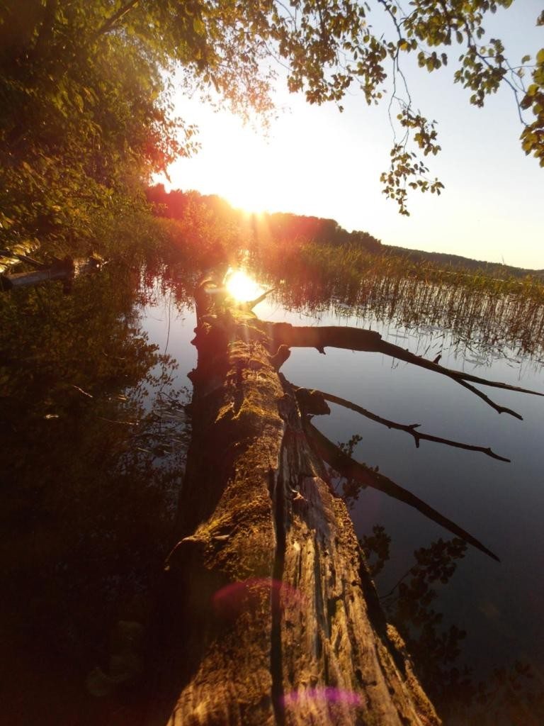 Трехместный (Трехместный номер), Лодж в Торопце