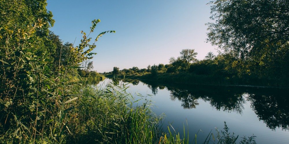 Маклок воронеж фото