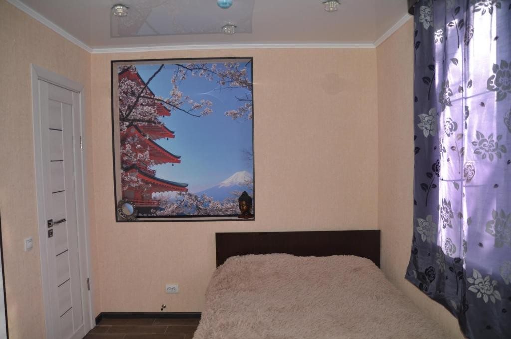 Двухместный (Стандартный двухместный номер с 1 кроватью) мини-гостиницы Атмосфера, Петропавловск-Камчатский