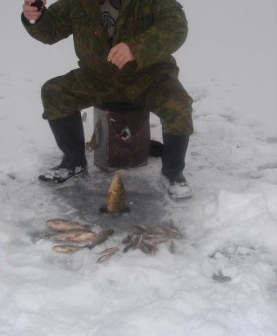 База отдыха Золотой карп в Костёнках, Воронежская область, цены от 1200  руб. с услугой рыбалки | Забронировать турбазу на 101Hotels.com