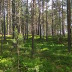 Пешие прогулки, База отдыха Селигер для Вас