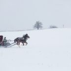 Конные прогулки, Парк-Отель Кудыкина Гора