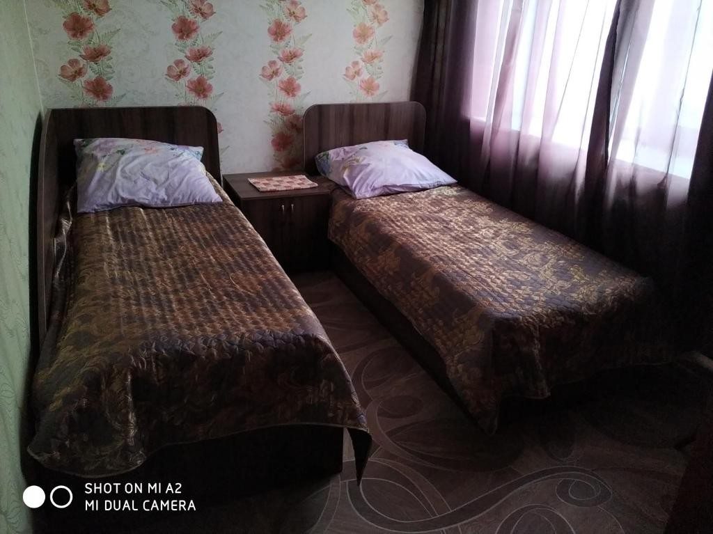 Двухместный (Бюджетный двухместный номер с 2 отдельными кроватями) гостиничного комплекса София, Кузнецк