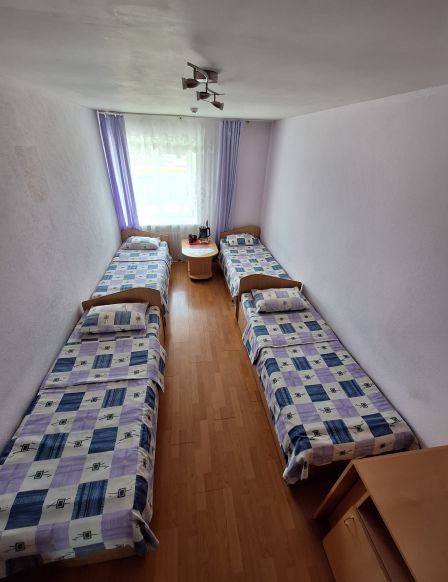 Фотография номера мини отеля Лесная жемчужина