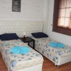 Двухместный (Двухместный номер с 1 кроватью или 2 отдельными кроватями и ванной комнатой), Отель Замок