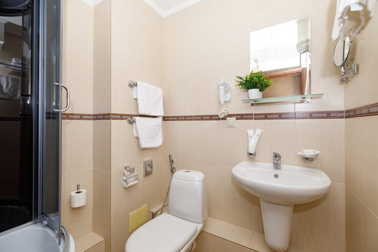 Двухместный (Делюкс с 1 кроватью), Отель Панорама