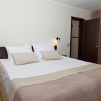 Двухместный (Делюкс с 1 кроватью или 2 отдельными кроватями), Отель Панорама