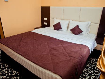 Фотография номера гостиницы Лайт