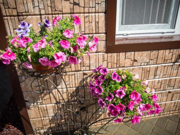 Фотография номера гостевого дома Островок комфорта