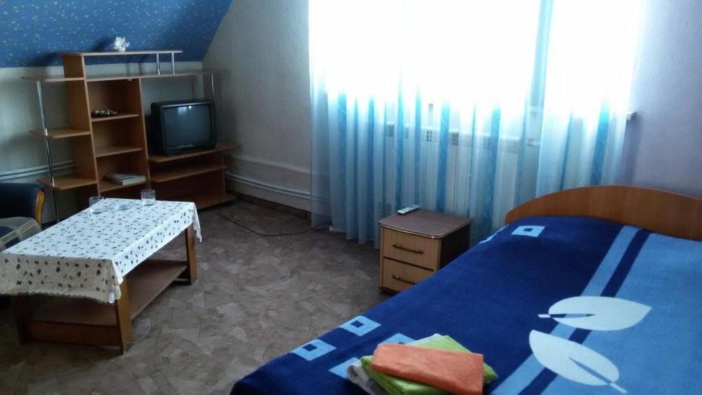 Двухместный (Бюджетный двухместный номер с 1 кроватью) мини-гостиницы Ёлка, Омск