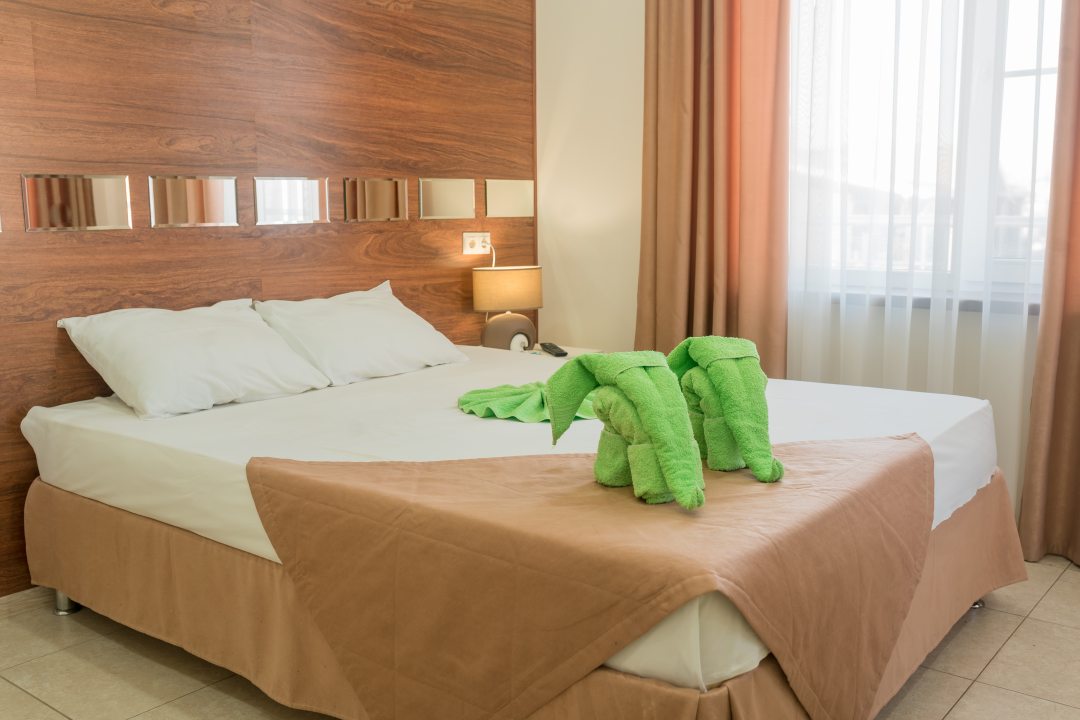 Двухместный (Трехместный номер  с 1 кроватью или 2 отдельными кроватями  (DBL + ЕХВ)) гостиницы Green Elephant & SPA, Анапа