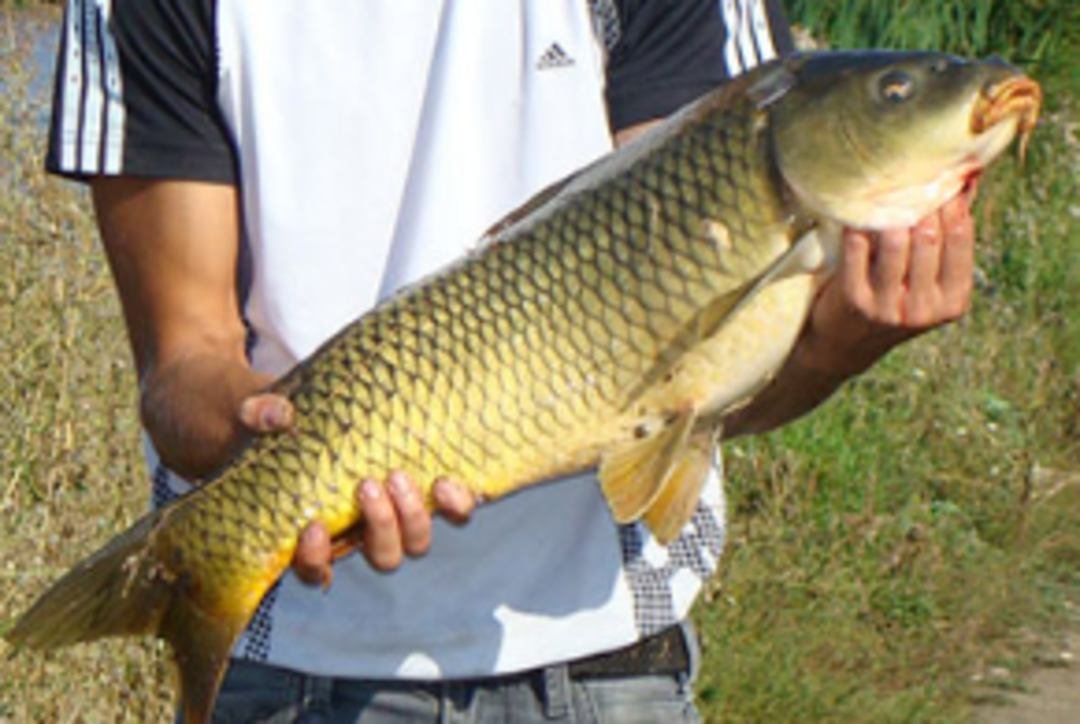 Рыбалка, Оздоровительный комплекс Валяевские озера