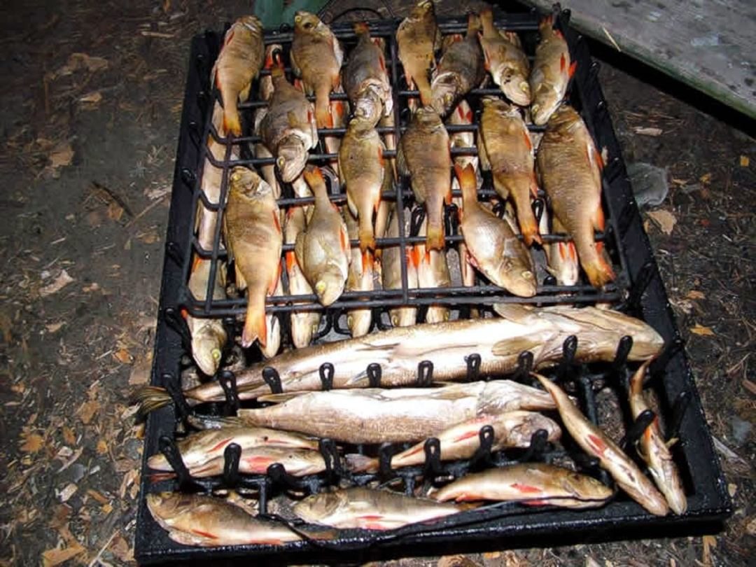 Рыбалка, База отдыха Весьегонский остров
