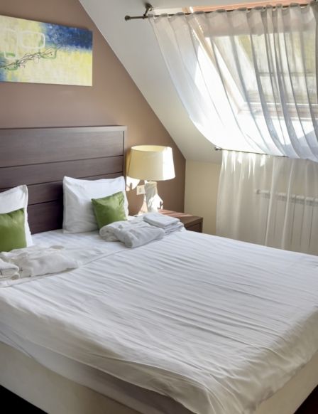 Фотография номера гостиницы Горная Резиденция