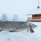 Рыбалка, База отдыха Берег Мечты